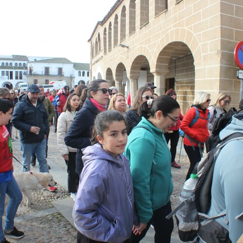 XXV Muestra almendro en flor (38)